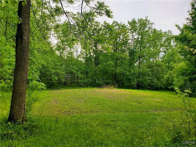 Chase Ave, Springport, NY 13160