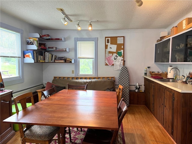 1604 Moland Rd, Alfred, NY 14803 - dining area featuring light wood-style floors, a textured ceiling, plenty of natural light, and track lighting