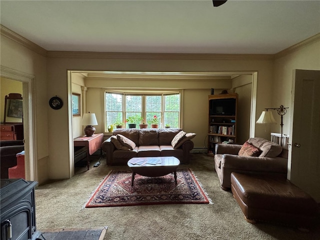 1604 Moland Rd, Alfred, NY 14803 - carpeted living room featuring a wood stove and ornamental molding
