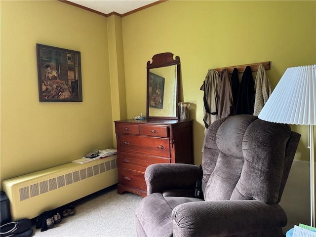 1604 Moland Rd, Alfred, NY 14803 - bedroom with radiator, carpet, and ornamental molding