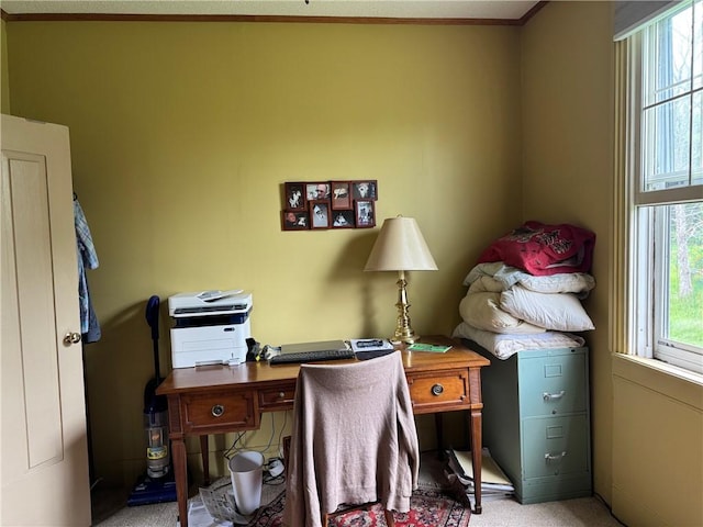 1604 Moland Rd, Alfred, NY 14803 - office space featuring healthy amount of natural light, carpet, and ornamental molding
