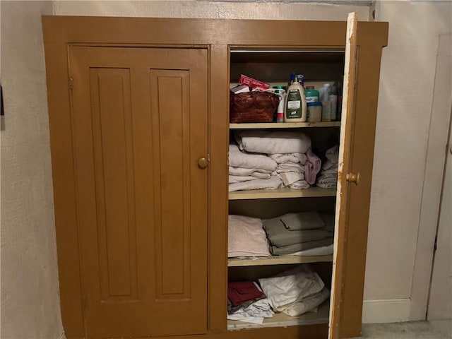 1604 Moland Rd, Alfred, NY 14803 - view of closet