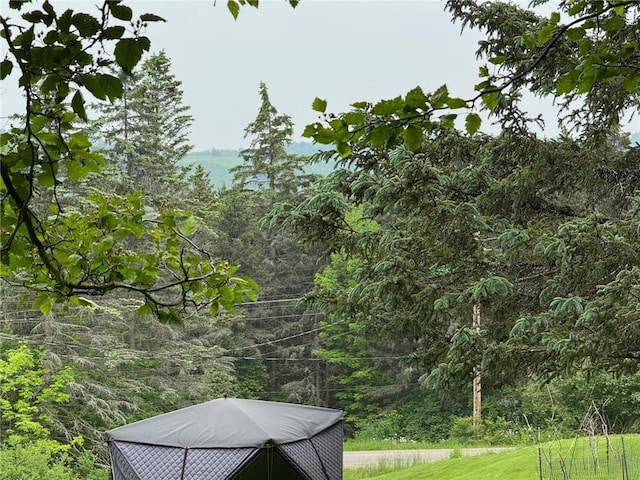 1604 Moland Rd, Alfred, NY 14803 - view of yard with a view of trees