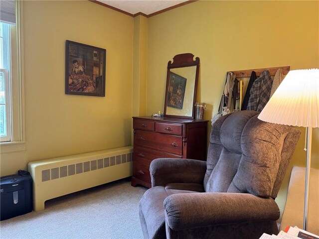 1604 Moland Rd, Alfred, NY 14803 - photo 27
