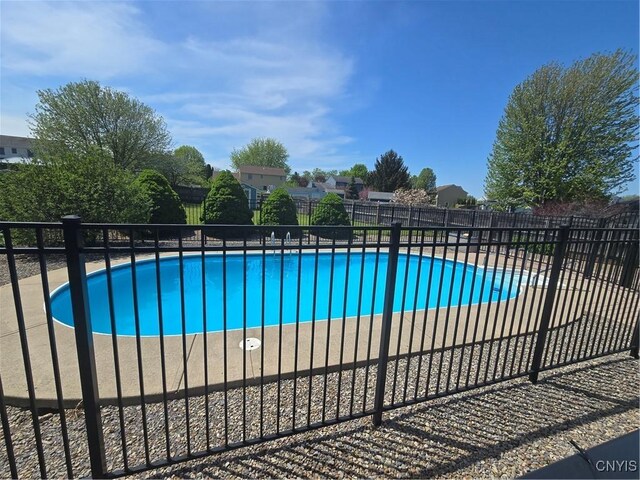 4982 Alfred Dr, Clay, NY 13090 - view of pool