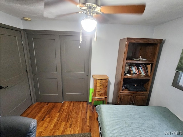 2320 Sheldon Dr, Allegany, NY 14706 - photo 14