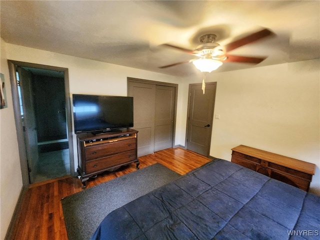 2320 Sheldon Dr, Allegany, NY 14706 - photo 19