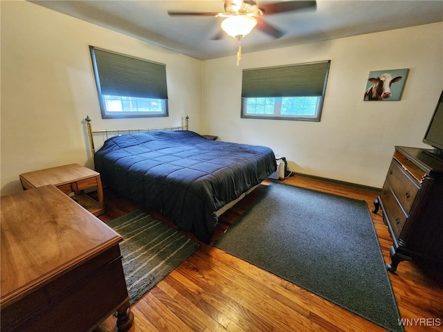 2320 Sheldon Dr, Allegany, NY 14706 - photo 20