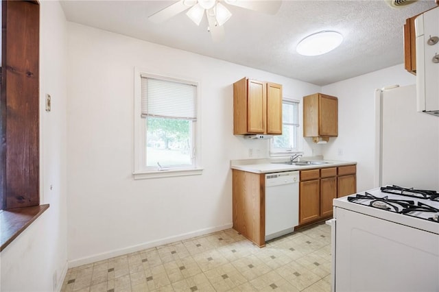 223 S Ave, Parma, NY 14468 - kitchen with white appliances, healthy amount of natural light, a ceiling fan, a sink, and a textured ceiling