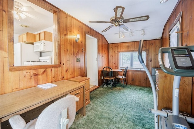 223 S Ave, Parma, NY 14468 - office space featuring ceiling fan, wood walls, carpet floors, and track lighting