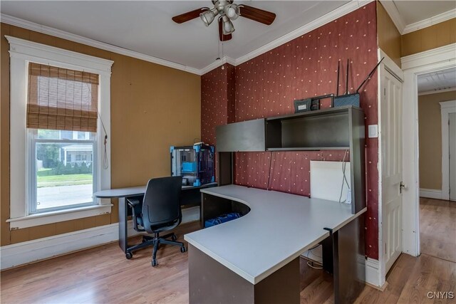 25 Waid St, Gouverneur, NY 13642 - office space with wood finished floors, ornamental molding, and ceiling fan