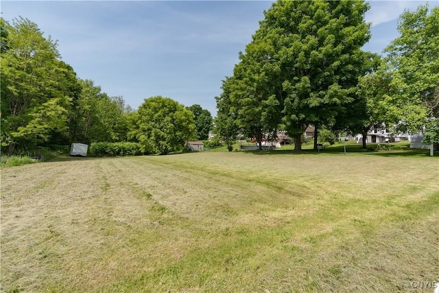25 Waid St, Gouverneur, NY 13642 - view of grassy yard