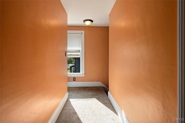 817 Mildred Ave, Utica, NY 13502 - hallway featuring carpet and baseboards