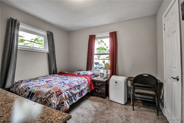 126 Midland Dr, Cheektowaga, NY 14225 - carpeted bedroom featuring multiple windows