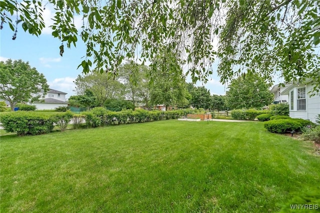 27 Lynn Lea St, Amherst, NY 14221 - view of green lawn