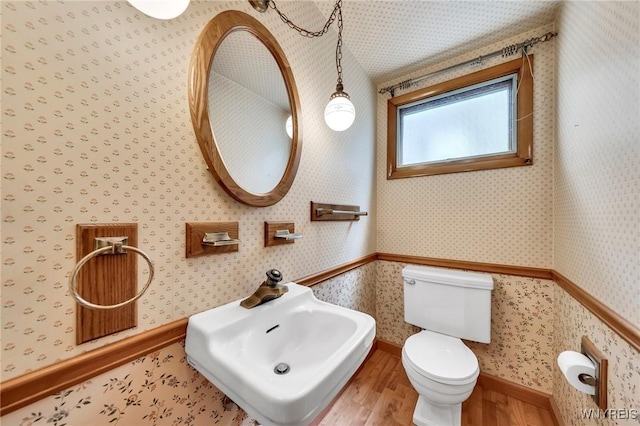 27 Lynn Lea St, Amherst, NY 14221 - bathroom featuring wood finished floors, toilet, and a sink