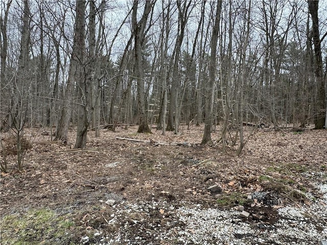 6638 N Lakeshore Rd, Verona, NY 13162 - photo 24