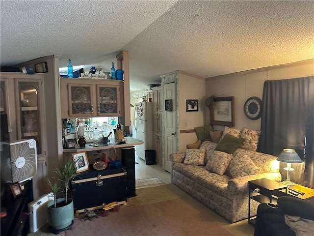 14 Beechwood Ter Unit 14B, Hornellsville, NY 14843