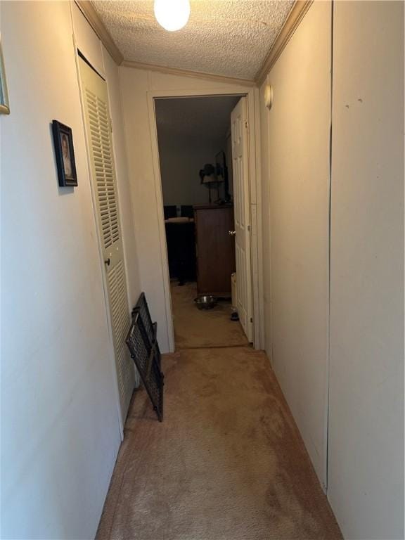 14 Beechwood Ter Unit 14B, Hornellsville, NY 14843