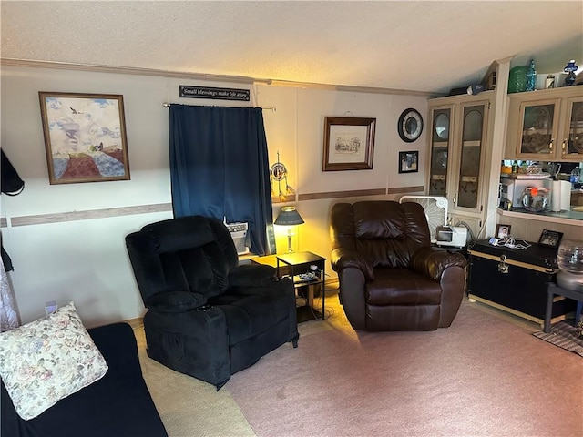 14 Beechwood Ter Unit 14B, Hornellsville, NY 14843