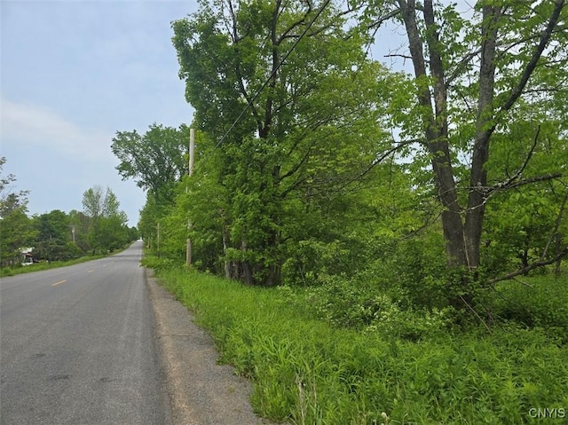 0 County Route 70, Florence, NY 13316 - photo 2