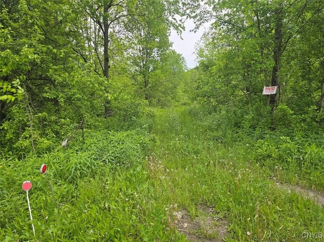 0 County Route 70, Florence, NY 13316 - photo 3