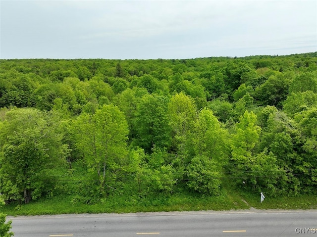 0 County Route 70, Florence, NY 13316 - photo 4