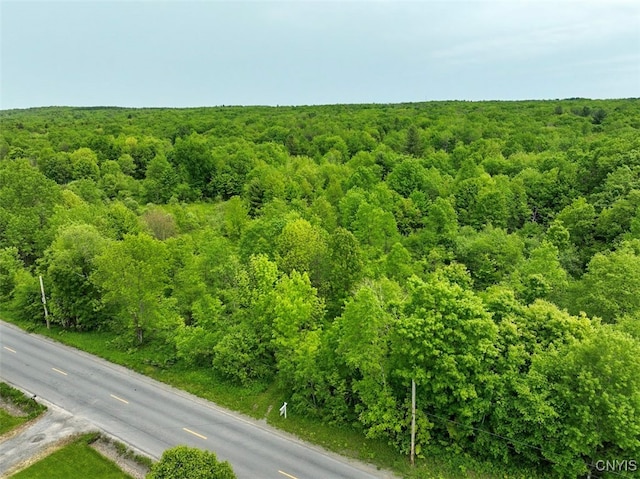 0 County Route 70, Florence, NY 13316 - photo 1