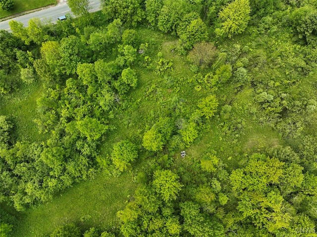 0 County Route 70, Florence, NY 13316 - photo 6