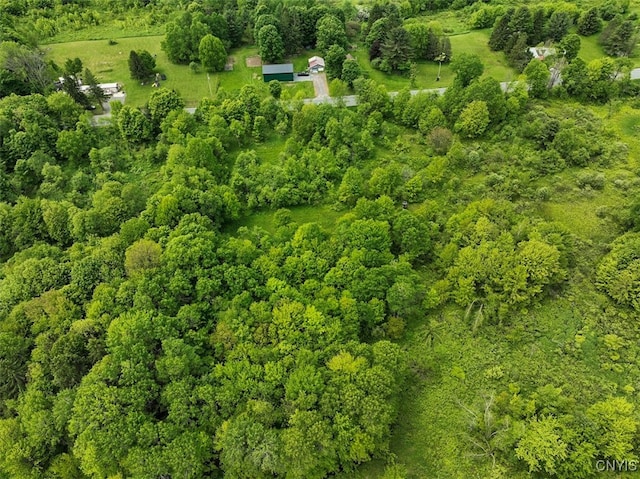 0 County Route 70, Florence, NY 13316 - photo 7