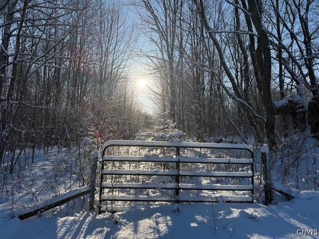 0 County Route 70, Florence, NY 13316 - photo 8