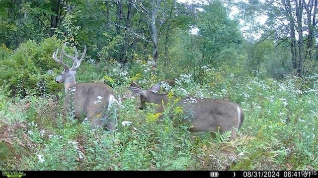 0 County Route 70, Florence, NY 13316 - photo 10
