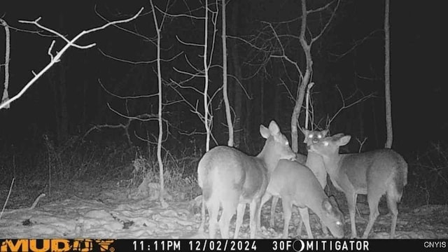 0 County Route 70, Florence, NY 13316 - photo 11