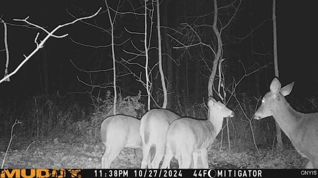 0 County Route 70, Florence, NY 13316 - photo 12