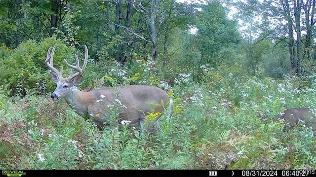 0 County Route 70, Florence, NY 13316 - photo 13