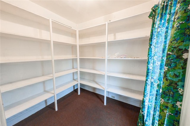 5 Gansevoort St, Bath, NY 14810 - view of pantry