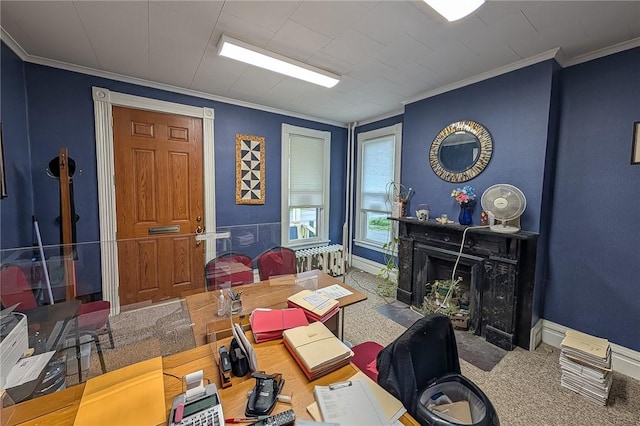 5 Gansevoort St, Bath, NY 14810 - living area featuring carpet flooring, crown molding, radiator heating unit, a fireplace with flush hearth, and baseboards
