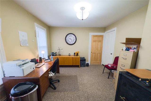 5 Gansevoort St, Bath, NY 14810 - view of carpeted office