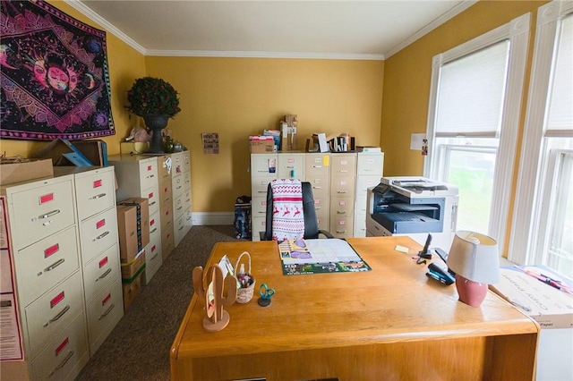 5 Gansevoort St, Bath, NY 14810 - office with crown molding and baseboards