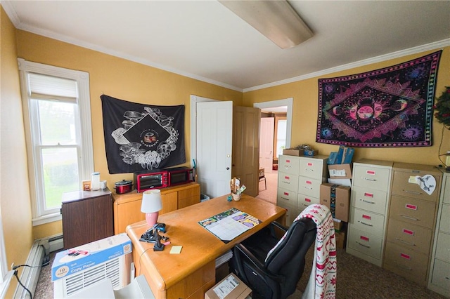 5 Gansevoort St, Bath, NY 14810 - carpeted office space with crown molding and a baseboard radiator