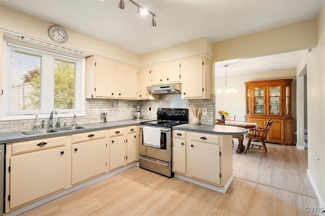 1 Christopher Cir, New Hartford, NY 13413 - kitchen with stainless steel range with electric stovetop, under cabinet range hood, a sink, light wood-type flooring, and tasteful backsplash