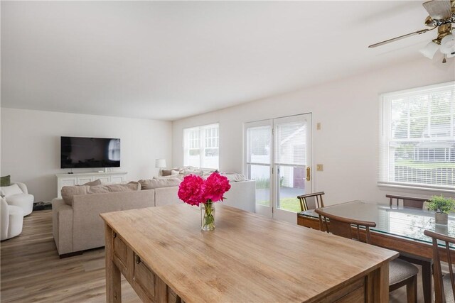 39 Sunnyside Dr, Elmira, NY 14905 - dining area featuring light wood finished floors and ceiling fan