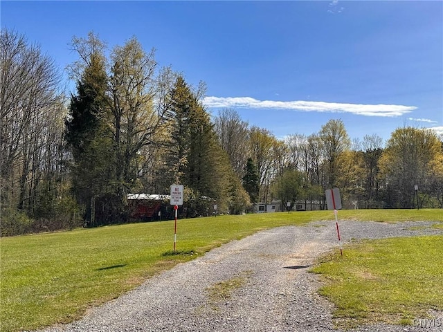 1 Pheasant Rd, Litchfield, NY 13323