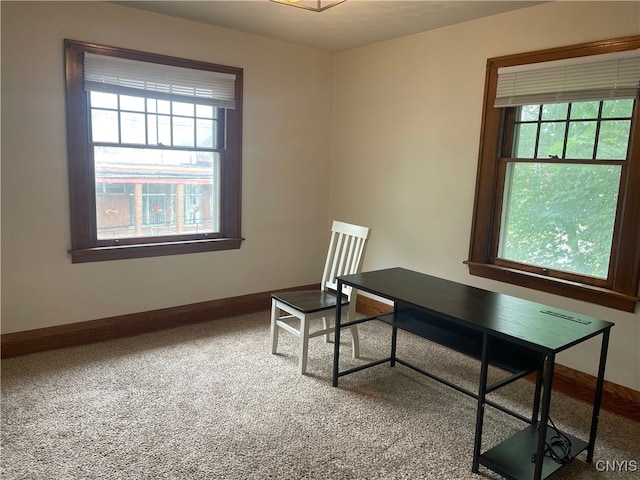 61 2nd St, German Flatts, NY 13357 - office area featuring baseboards and carpet floors