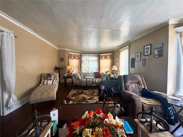 14 Park St, Bradford-City, PA 16701 - living area featuring healthy amount of natural light, wood finished floors, ornamental molding, and baseboards