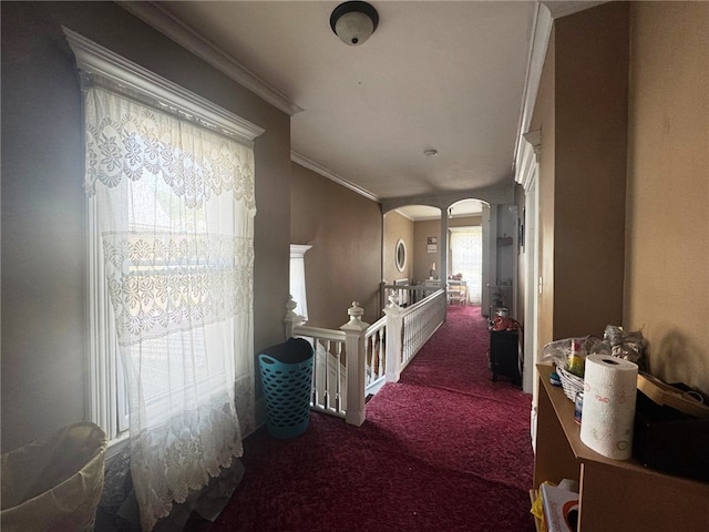 14 Park St, Bradford-City, PA 16701 - hall featuring carpet flooring, arched walkways, and crown molding