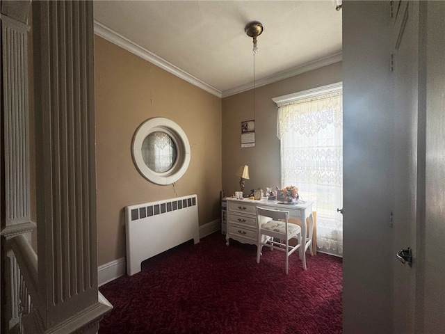 14 Park St, Bradford-City, PA 16701 - home office with radiator heating unit, dark colored carpet, crown molding, and baseboards