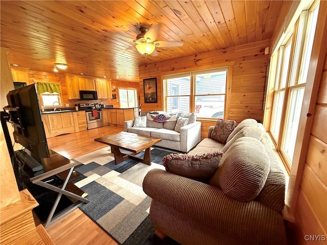 25003 State Route 37, Pamelia, NY 13601 - living area featuring light wood-style flooring, wooden ceiling, ceiling fan, and wooden walls