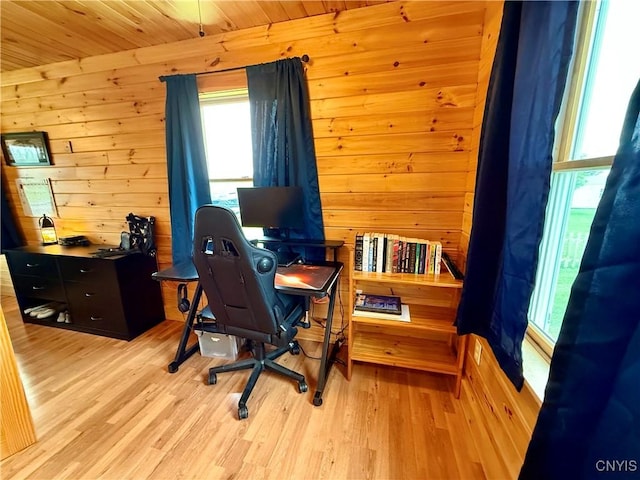 25003 State Route 37, Pamelia, NY 13601 - office with wooden walls and light wood-style flooring