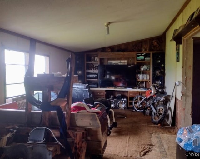 2771 Center Rd, Freetown, NY 13045 - living area with vaulted ceiling
